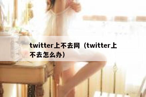 twitter上不去网(twitter上不去怎么办) 第1张 twitter上不去网(twitter上不去怎么办) 第1张