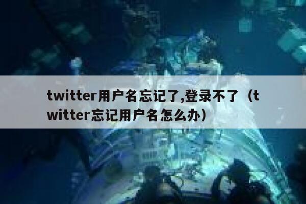 twitter用户名忘记了,登录不了(twitter忘记用户名怎么办) 第1张 twitter用户名忘记了,登录不了(twitter忘记用户名怎么办) 第1张