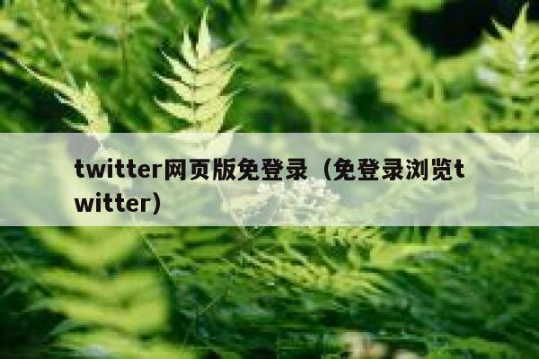 twitter网页版免登录(免登录浏览twitter) 第1张 twitter网页版免登录(免登录浏览twitter) 第1张