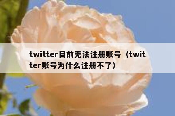 twitter目前无法注册账号（twitter账号为什么注册不了） 第1张