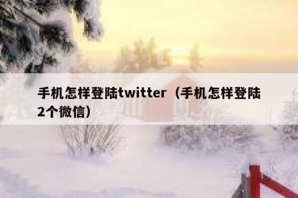 手机怎样登陆twitter(手机怎样登陆2个微信) 第1张 手机怎样登陆twitter(手机怎样登陆2个微信) 第1张