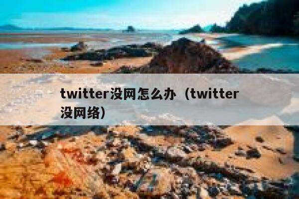 twitter没网怎么办（twitter没网络） 第1张
