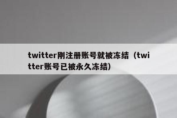 twitter刚注册账号就被冻结（twitter账号已被永久冻结） 第1张