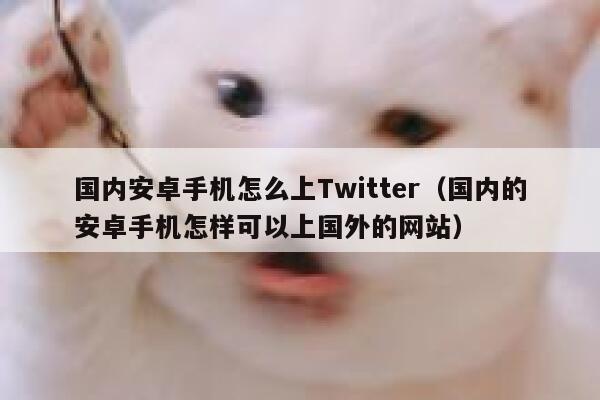国内安卓手机怎么上Twitter(国内的安卓手机怎样可以上国外的网站) 第1张 国内安卓手机怎么上Twitter(国内的安卓手机怎样可以上国外的网站) 第1张