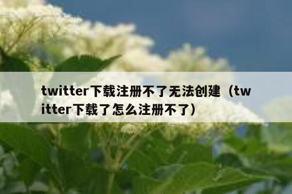 twitter下载注册不了无法创建(twitter下载了怎么注册不了) 第1张 twitter下载注册不了无法创建(twitter下载了怎么注册不了) 第1张