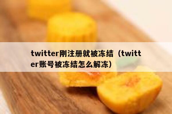 twitter刚注册就被冻结（twitter账号被冻结怎么解冻） 第1张