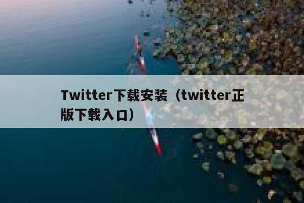 Twitter下载安装（twitter正版下载入口） 第1张