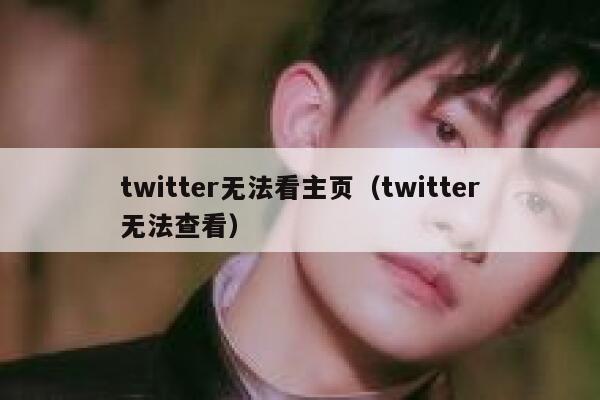 twitter无法看主页(twitter无法查看) 第1张 twitter无法看主页(twitter无法查看) 第1张