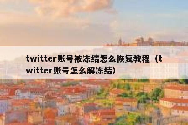 twitter账号被冻结怎么恢复教程（twitter账号怎么解冻结） 第1张