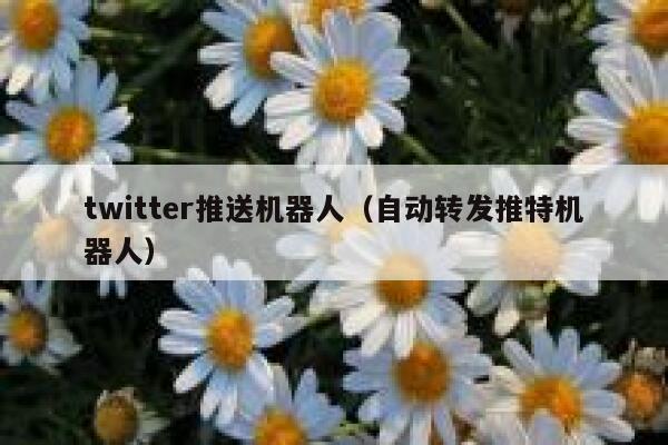 twitter推送机器人（自动转发推特机器人） 第1张
