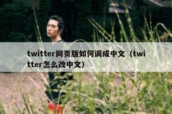 twitter网页版如何调成中文（twitter怎么改中文） 第1张