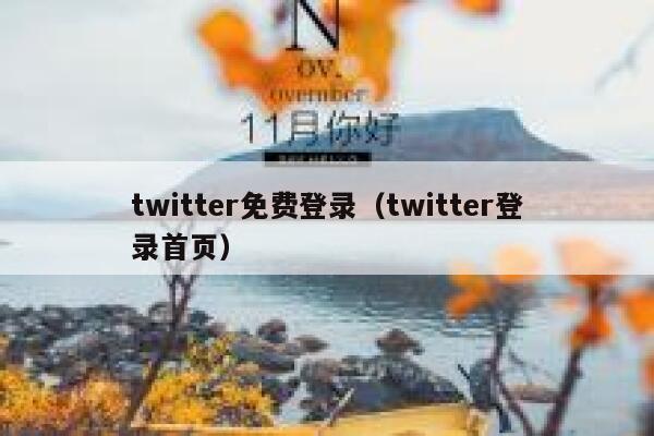 twitter免费登录（twitter登录首页） 第1张