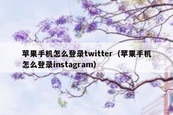 苹果手机怎么登录twitter（苹果手机怎么登录instagram） 第1张