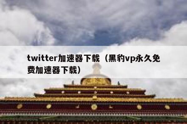 twitter加速器下载（黑豹vp永久免费加速器下载） 第1张