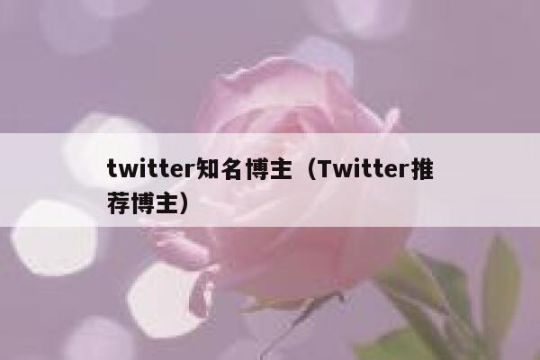 twitter知名博主(Twitter推荐博主) 第1张 twitter知名博主(Twitter推荐博主) 第1张