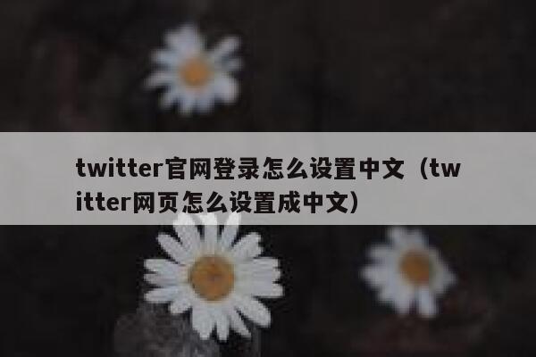 twitter官网登录怎么设置中文(twitter网页怎么设置成中文) 第1张 twitter官网登录怎么设置中文(twitter网页怎么设置成中文) 第1张