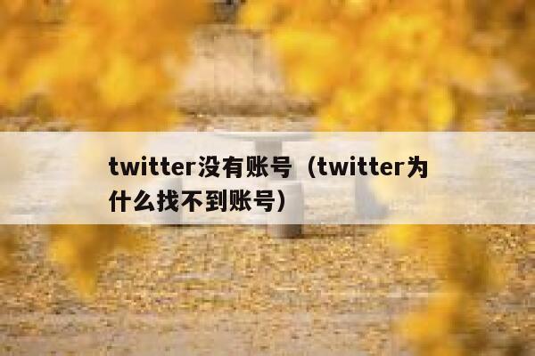 twitter没有账号（twitter为什么找不到账号） 第1张