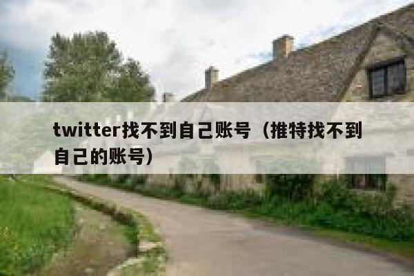 twitter找不到自己账号（推特找不到自己的账号） 第1张