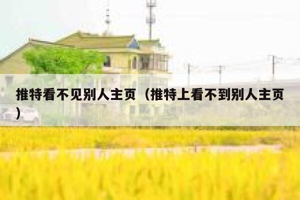推特看不见别人主页（推特上看不到别人主页） 第1张
