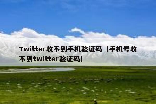 Twitter收不到手机验证码(手机号收不到twitter验证码) 第1张 Twitter收不到手机验证码(手机号收不到twitter验证码) 第1张