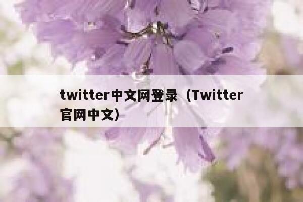 twitter中文网登录(Twitter官网中文) 第1张 twitter中文网登录(Twitter官网中文) 第1张