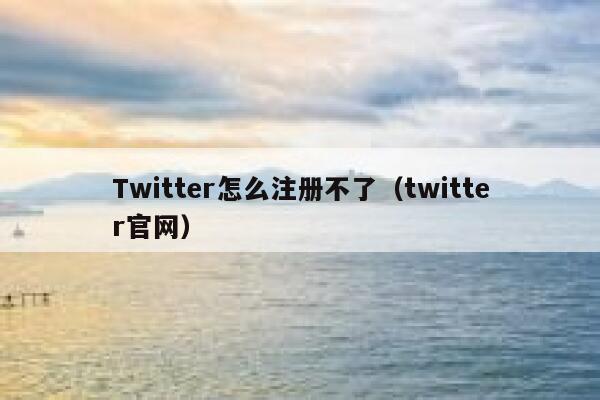 Twitter怎么注册不了（twitter官网） 第1张