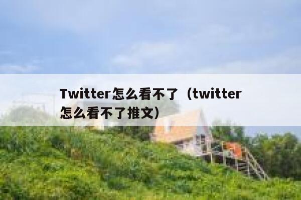 Twitter怎么看不了（twitter怎么看不了推文） 第1张
