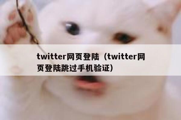 twitter网页登陆（twitter网页登陆跳过手机验证） 第1张