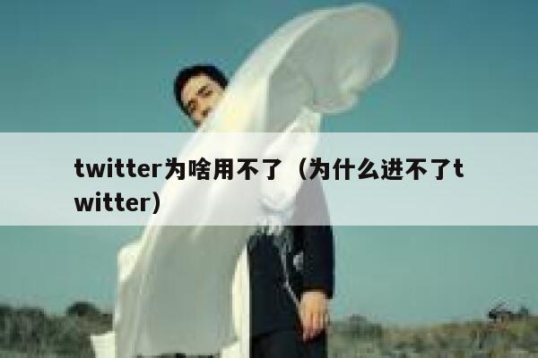 twitter为啥用不了（为什么进不了twitter） 第1张