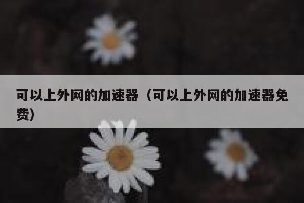 可以上外网的加速器（可以上外网的加速器免费） 第1张