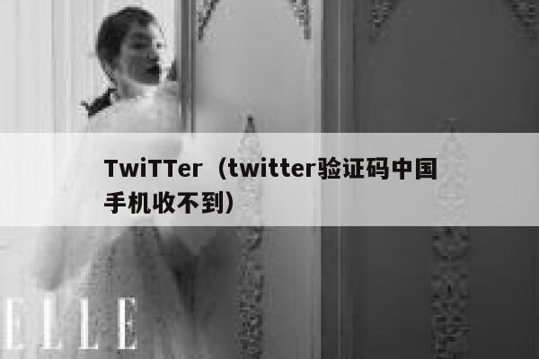 TwiTTer(twitter验证码中国手机收不到) 第1张 TwiTTer(twitter验证码中国手机收不到) 第1张