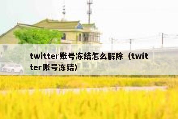 twitter账号冻结怎么解除（twitter账号冻结） 第1张