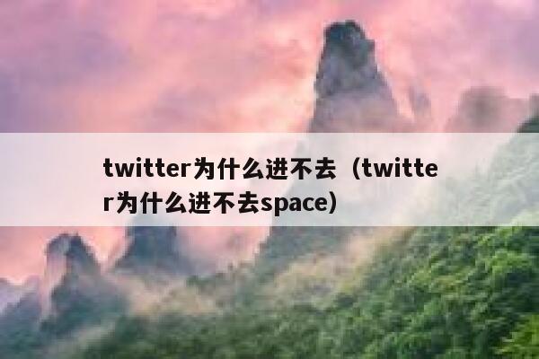 twitter为什么进不去（twitter为什么进不去space） 第1张