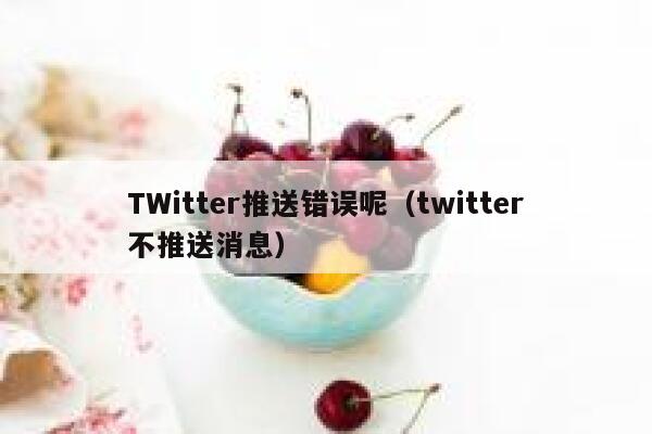 TWitter推送错误呢（twitter不推送消息） 第1张