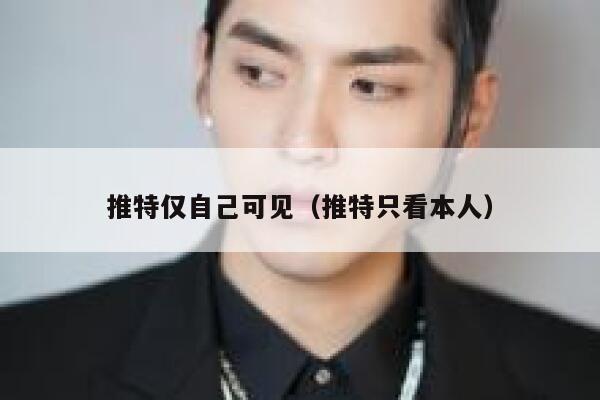 推特仅自己可见（推特只看本人） 第1张