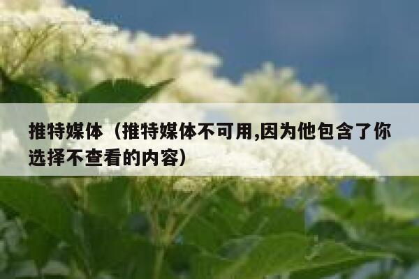 推特媒体（推特媒体不可用,因为他包含了你选择不查看的内容） 第1张