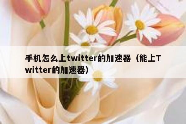 手机怎么上twitter的加速器(能上Twitter的加速器) 第1张 手机怎么上twitter的加速器(能上Twitter的加速器) 第1张