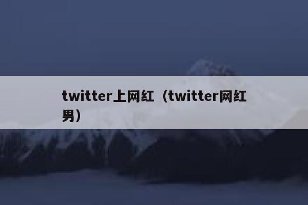 twitter上网红（twitter网红男） 第1张