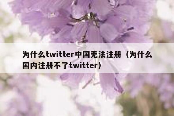 为什么twitter中国无法注册（为什么国内注册不了twitter） 第1张