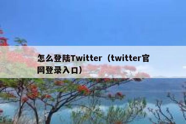怎么登陆Twitter(twitter官网登录入口) 第1张 怎么登陆Twitter(twitter官网登录入口) 第1张