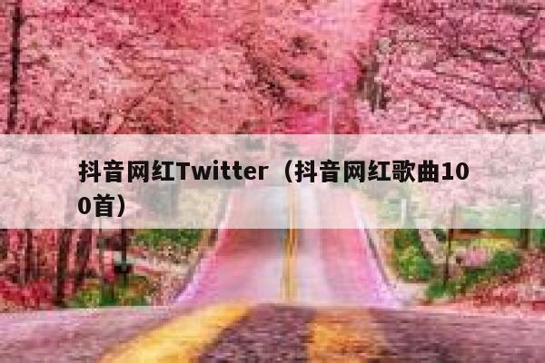 抖音网红Twitter（抖音网红歌曲100首） 第1张
