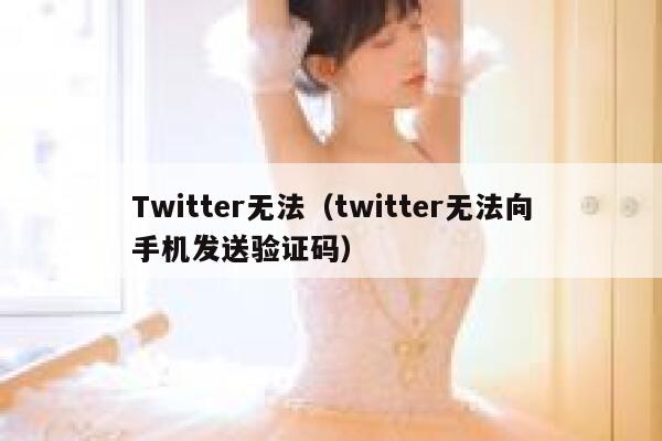 Twitter无法（twitter无法向手机发送验证码） 第1张