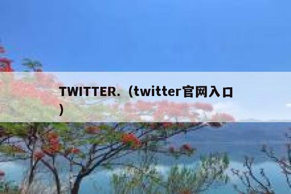 TWITTER.（twitter官网入口） 第1张