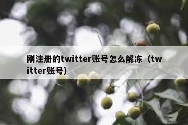 刚注册的twitter账号怎么解冻（twitter账号） 第1张