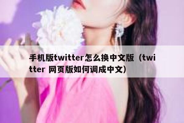 手机版twitter怎么换中文版（twitter 网页版如何调成中文） 第1张