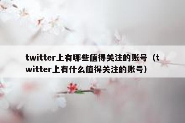twitter上有哪些值得关注的账号（twitter上有什么值得关注的账号） 第1张