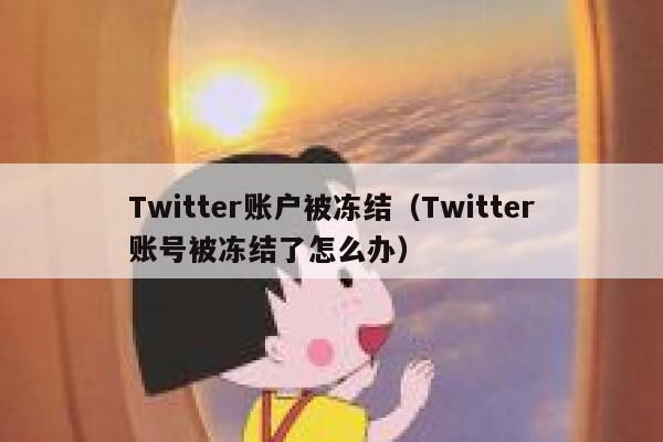 Twitter账户被冻结（Twitter账号被冻结了怎么办） 第1张