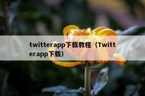 twitterapp下载教程(Twitterapp下载) 第1张 twitterapp下载教程(Twitterapp下载) 第1张