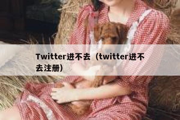 Twitter进不去(twitter进不去注册) 第1张 Twitter进不去(twitter进不去注册) 第1张