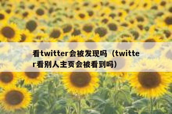 看twitter会被发现吗(twitter看别人主页会被看到吗) 第1张 看twitter会被发现吗(twitter看别人主页会被看到吗) 第1张